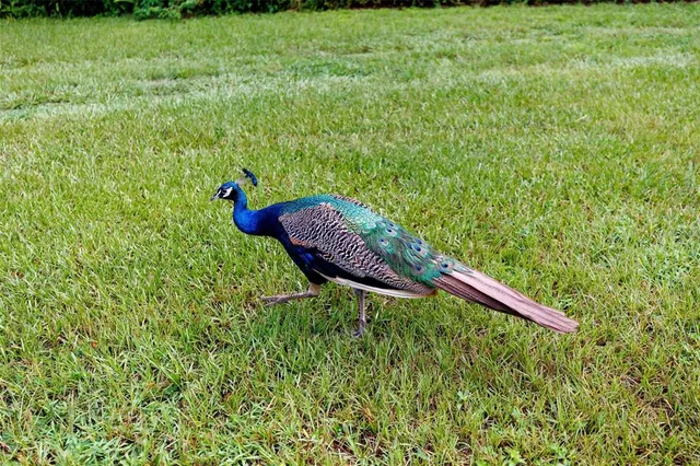 $259,000 | 535 South Prospect Street, Crescent City, FL 32112