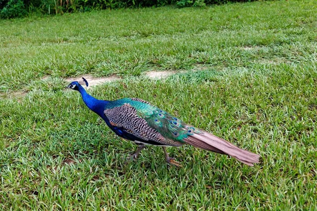 $259,000 | 535 South Prospect Street, Crescent City, FL 32112