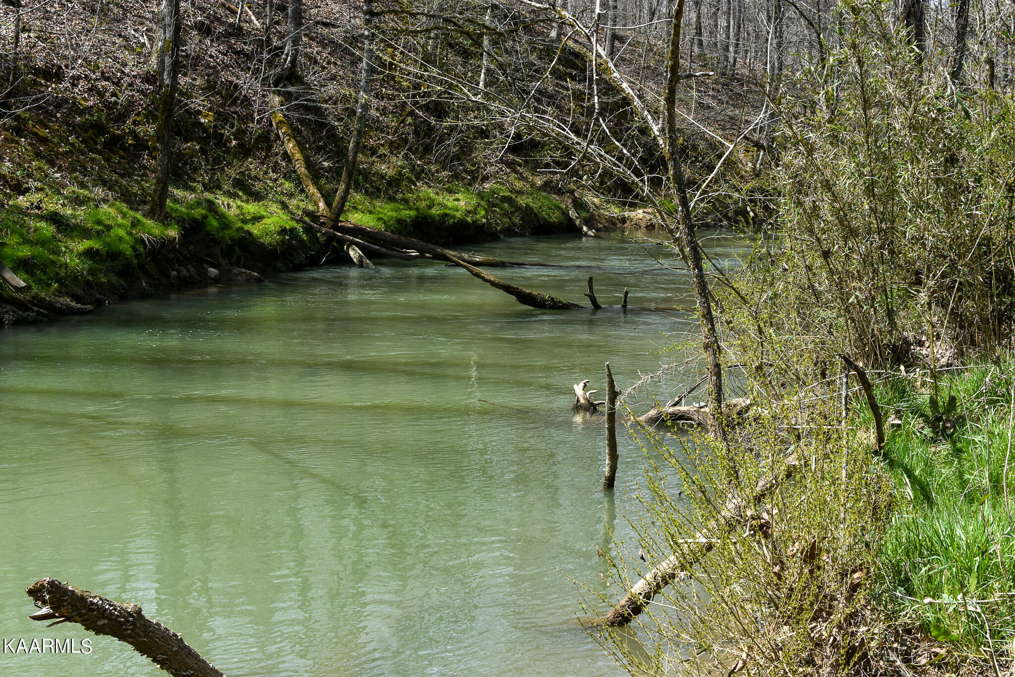29 County Road Calhoun, TN 37309 - Photo 11 of 31 Mouse Creek_McMinn Co.-11