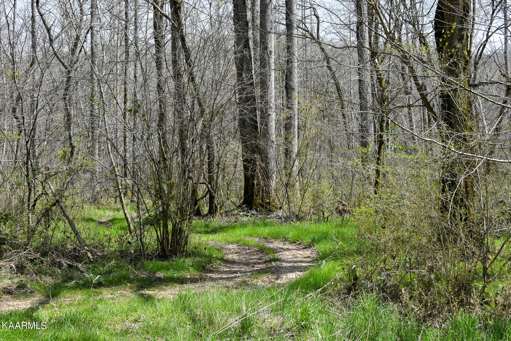 29 County Road Calhoun, TN 37309 - Photo 12 of 31 Mouse Creek_McMinn Co.-12