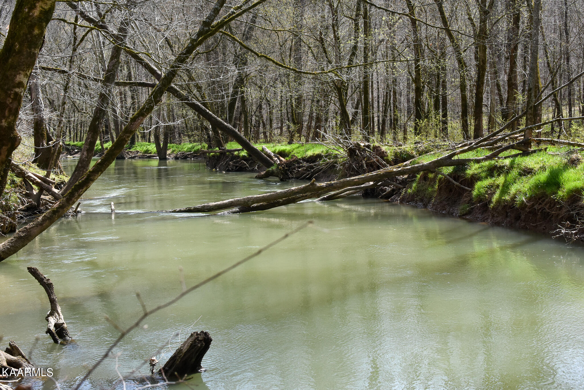 29 County Road Calhoun, TN 37309 - Photo 13 of 31 Mouse Creek_McMinn Co.-13
