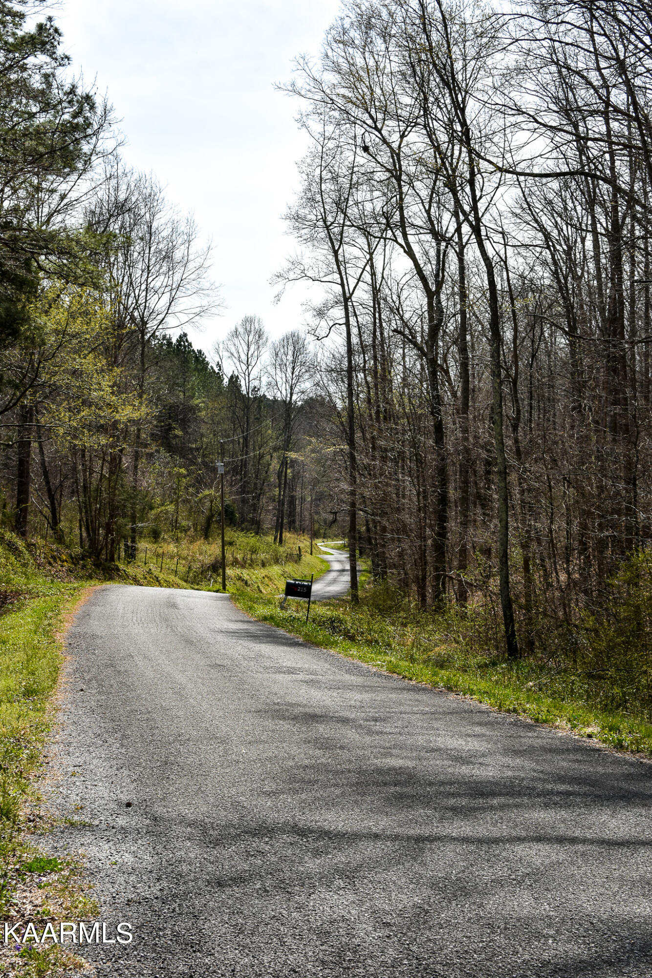 29 County Road Calhoun, TN 37309 - Photo 19 of 31 Mouse Creek_McMinn Co.-19
