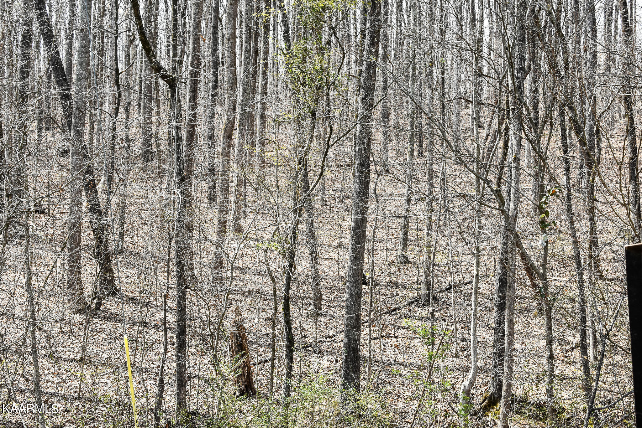 29 County Road Calhoun, TN 37309 - Photo 20 of 31 Mouse Creek_McMinn Co.-20