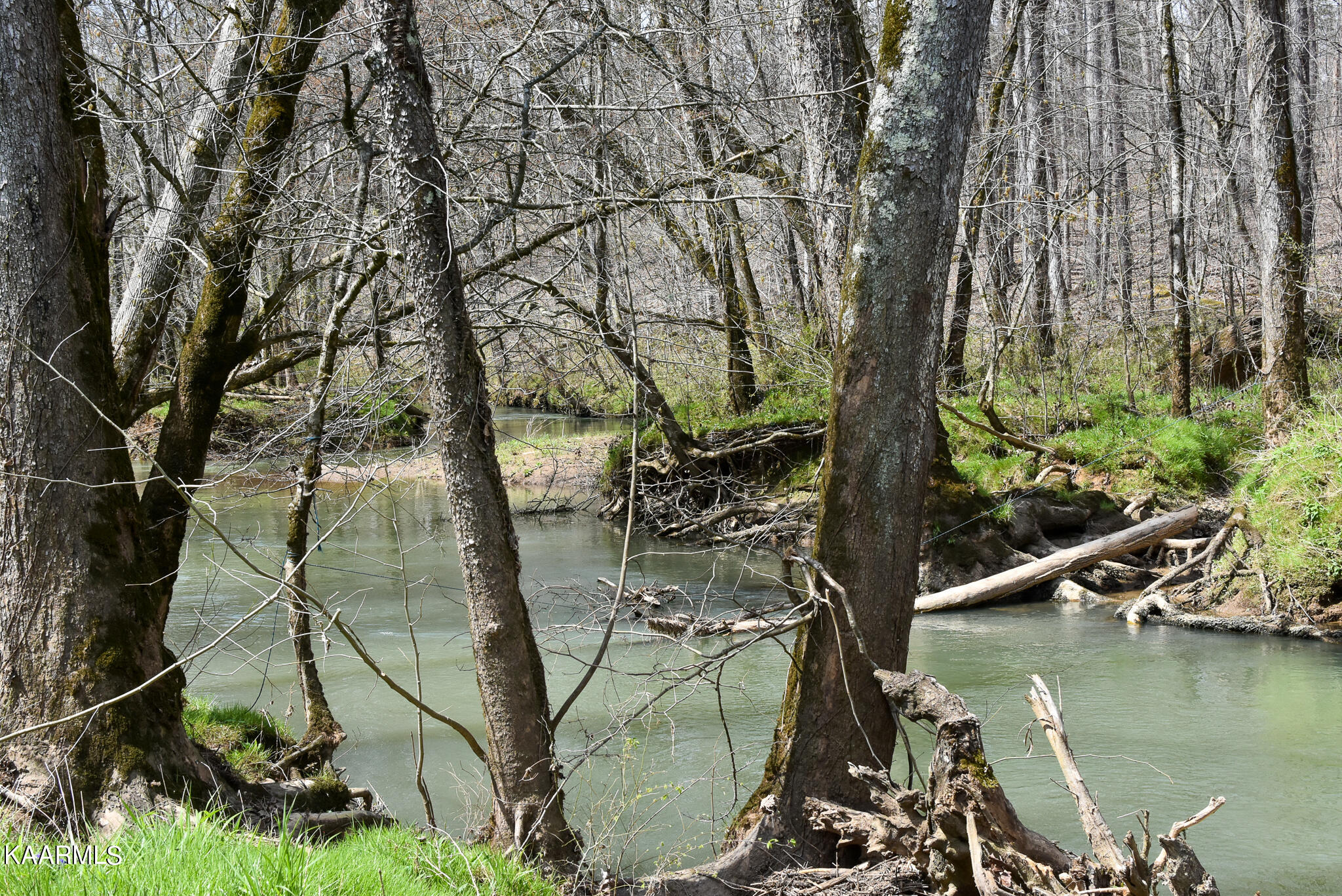 29 County Road Calhoun, TN 37309 - Photo 2 of 31 Mouse Creek_McMinn Co.-07