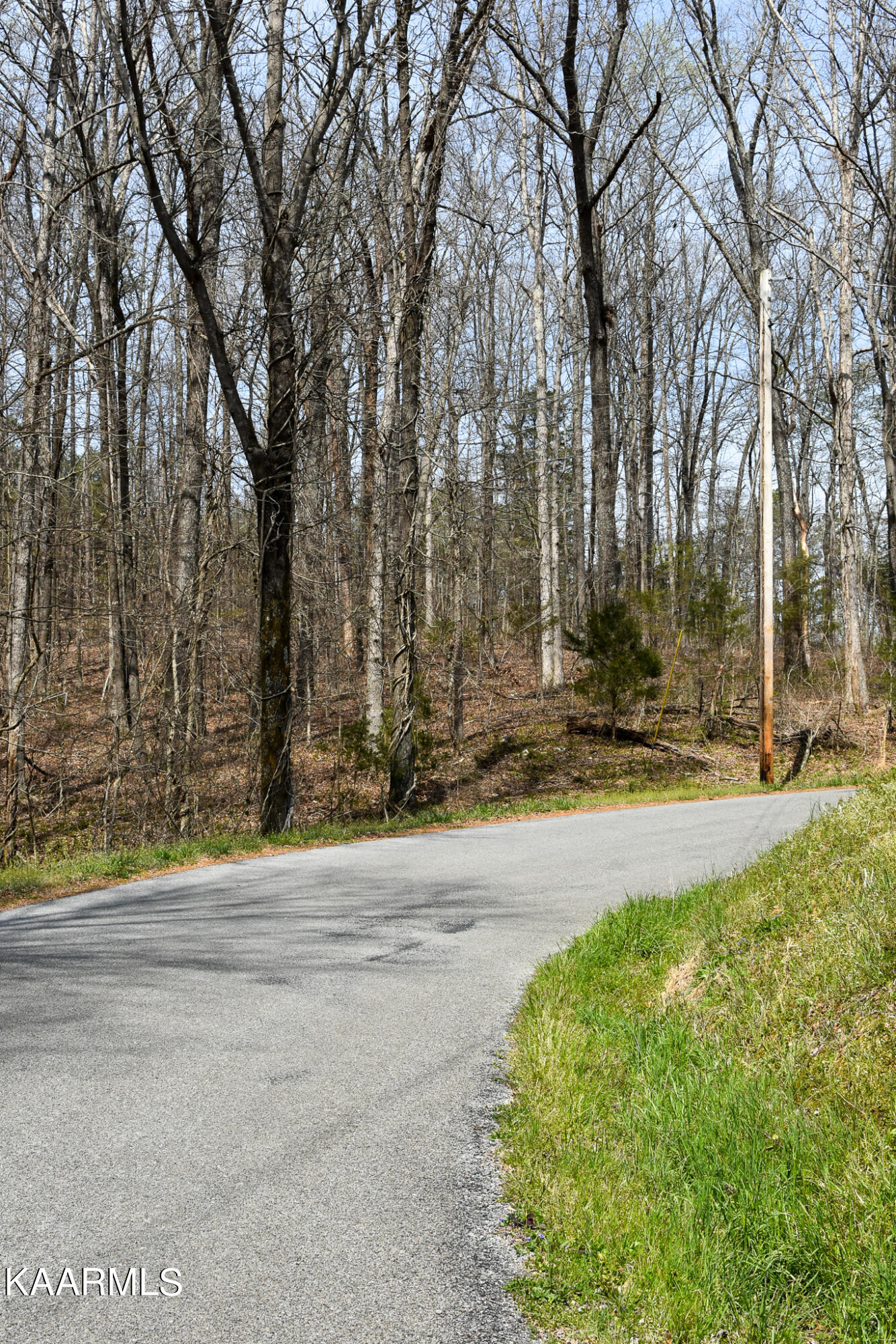 29 County Road Calhoun, TN 37309 - Photo 21 of 31 Mouse Creek_McMinn Co.-21