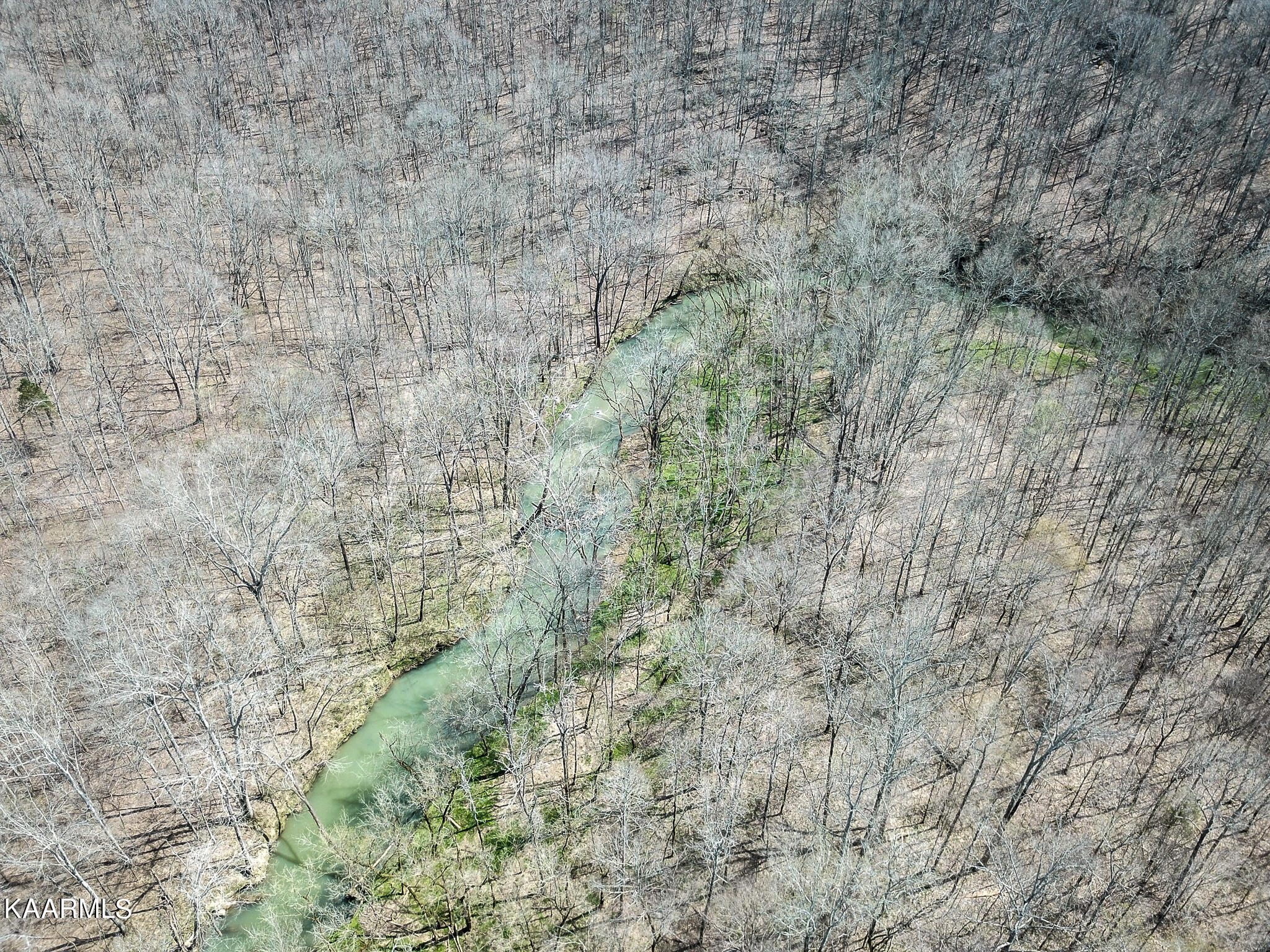 29 County Road Calhoun, TN 37309 - Photo 22 of 31 Mouse Creek_McMinn Co.-22