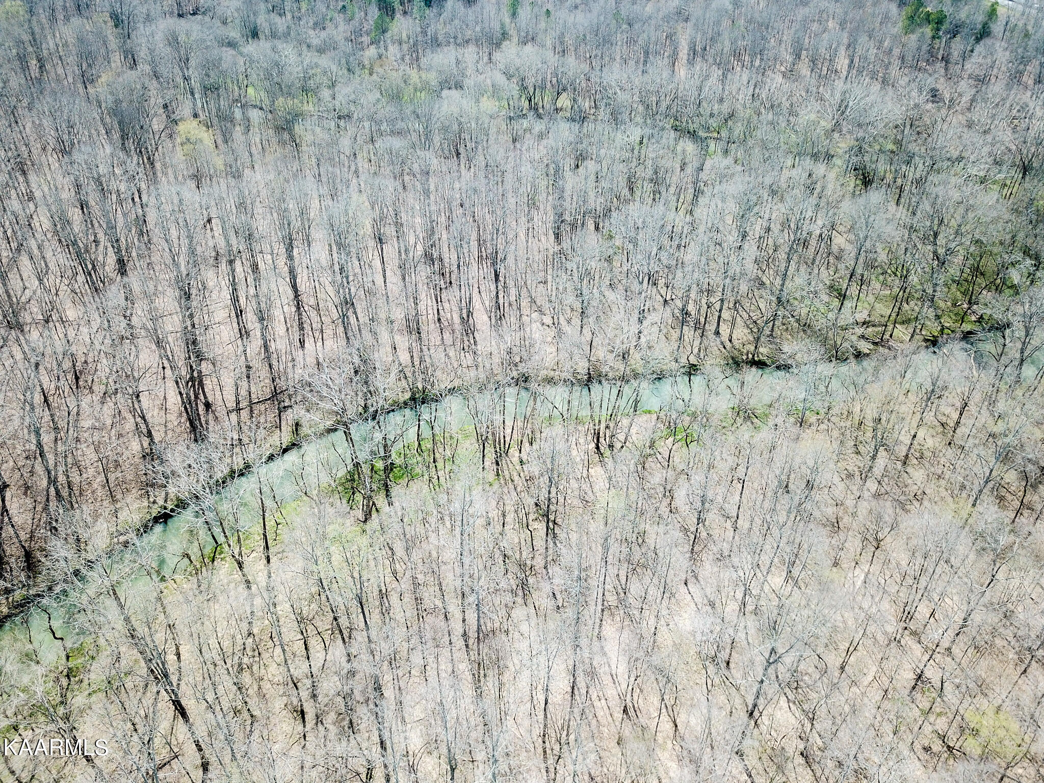 29 County Road Calhoun, TN 37309 - Photo 23 of 31 Mouse Creek_McMinn Co.-23