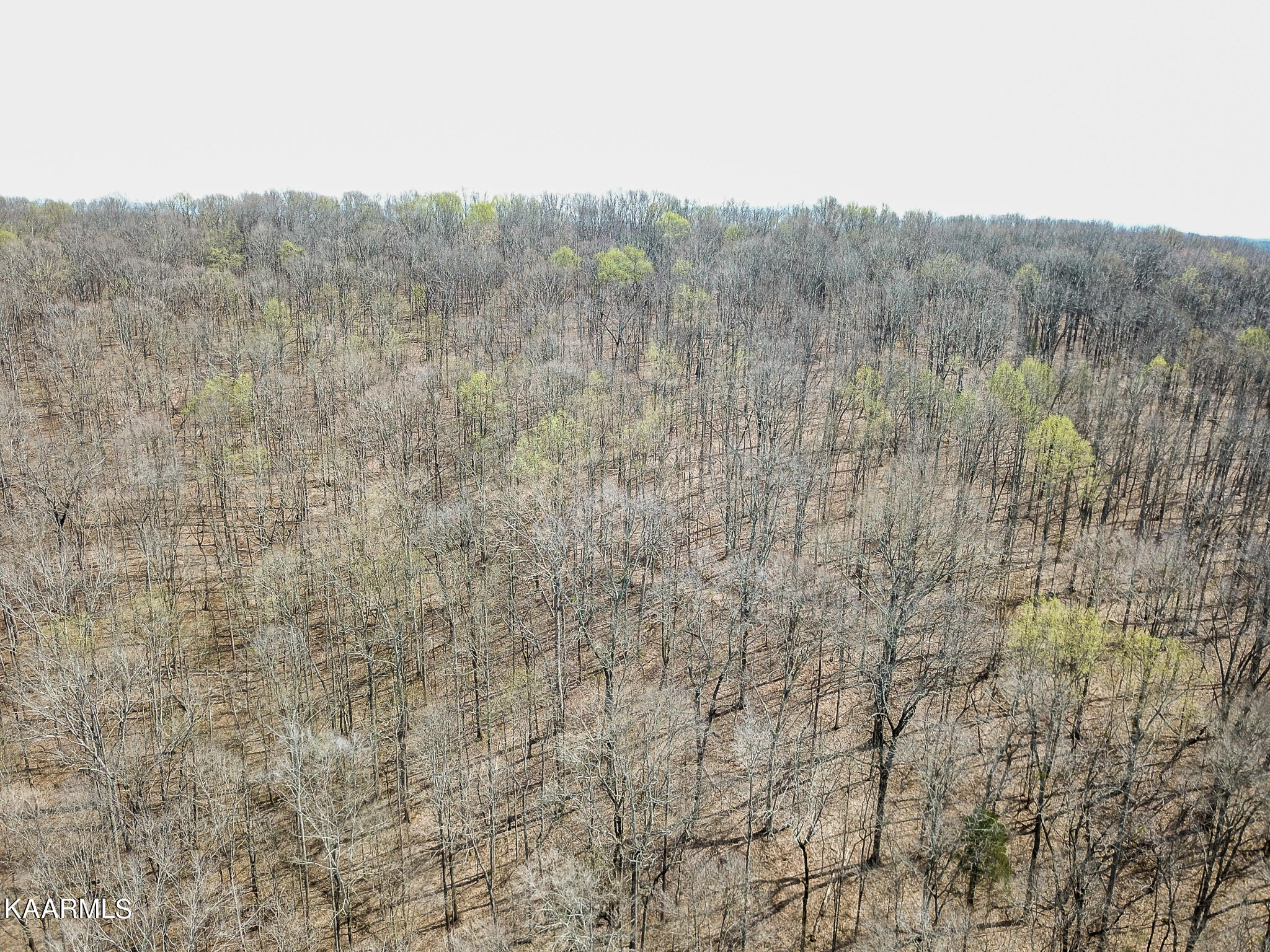 29 County Road Calhoun, TN 37309 - Photo 25 of 31 Mouse Creek_McMinn Co.-25