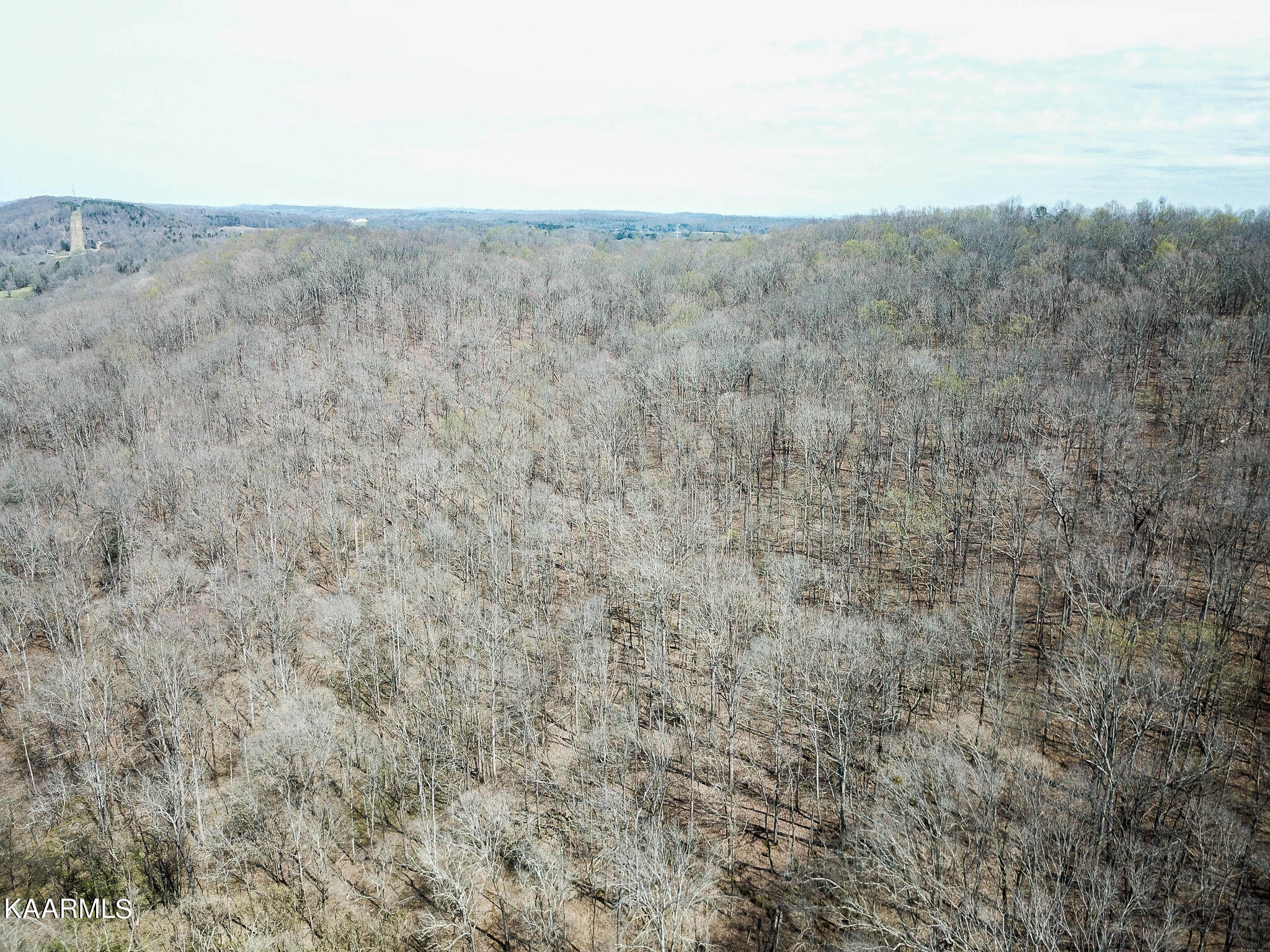 29 County Road Calhoun, TN 37309 - Photo 26 of 31 Mouse Creek_McMinn Co.-26