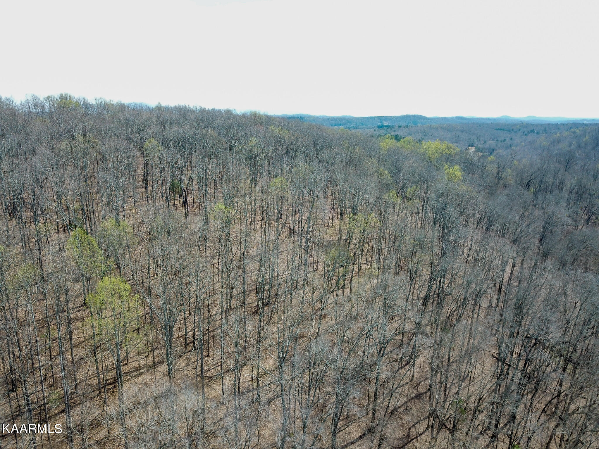 29 County Road Calhoun, TN 37309 - Photo 28 of 31 Mouse Creek_McMinn Co.-28