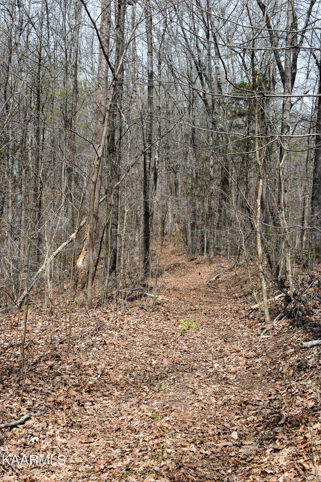 29 County Road Calhoun, TN 37309 - Photo 4 of 31 Mouse Creek_McMinn Co.-03