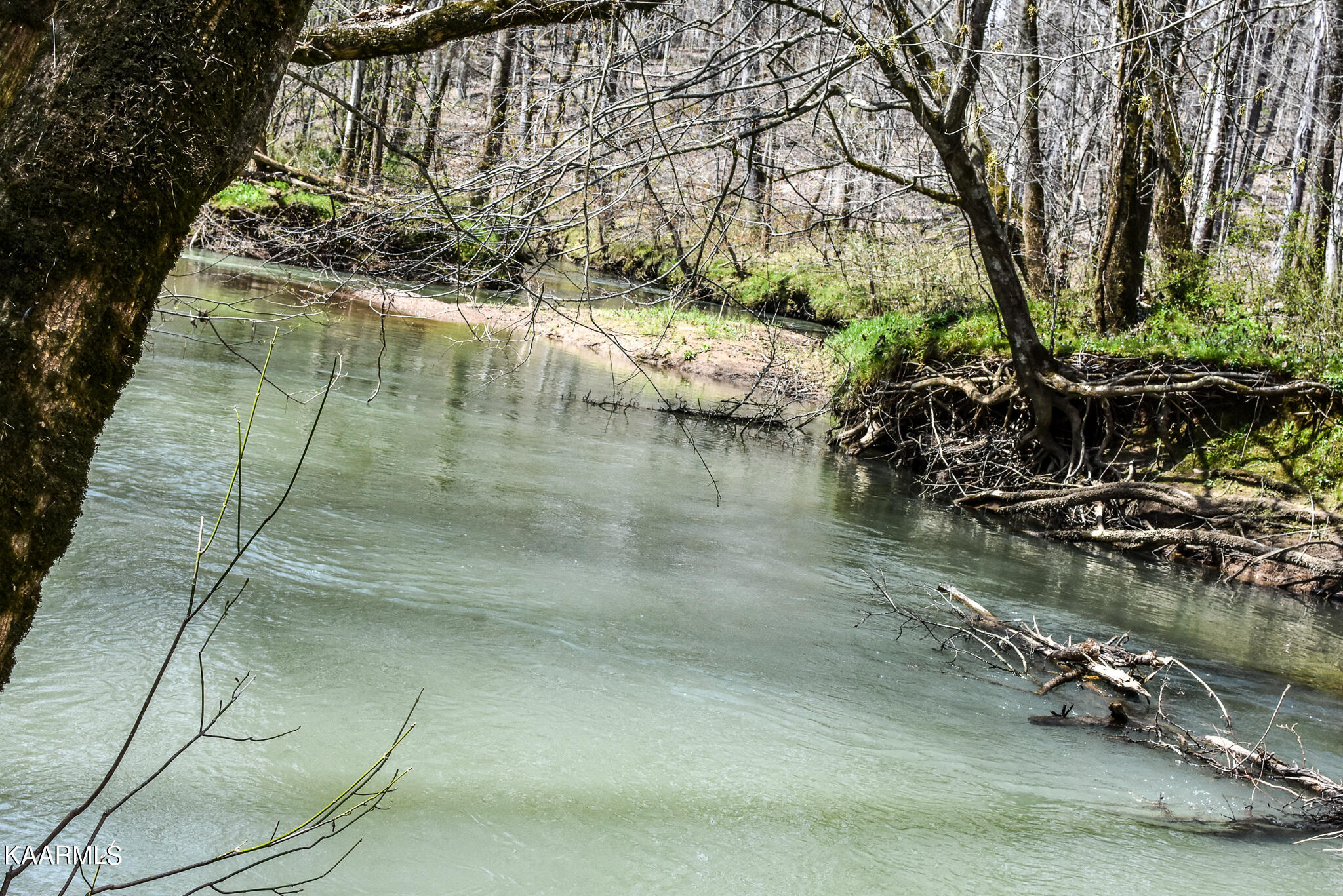 29 County Road Calhoun, TN 37309 - Photo 8 of 31 Mouse Creek_McMinn Co.-08