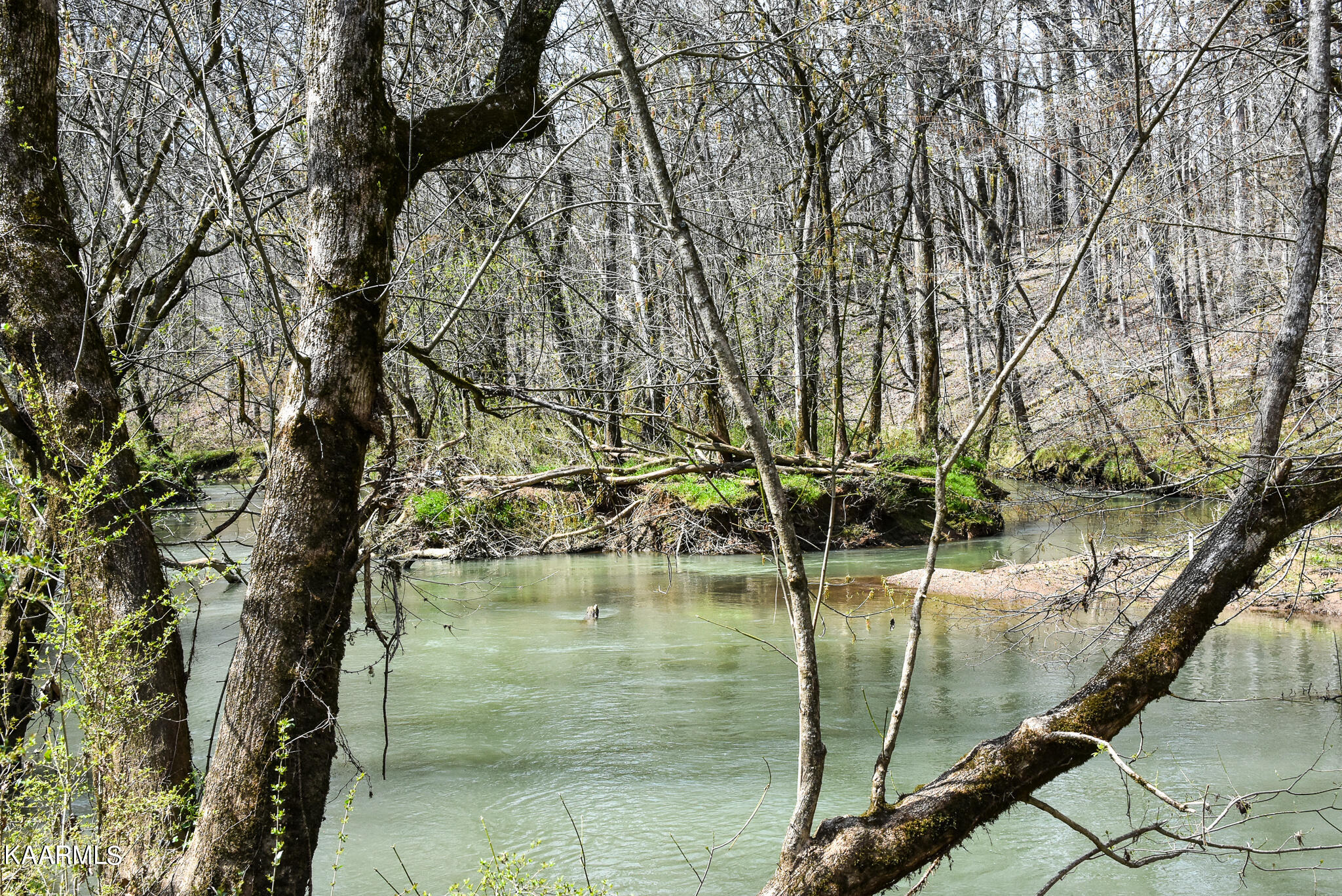 29 County Road Calhoun, TN 37309 - Photo 9 of 31 Mouse Creek_McMinn Co.-09