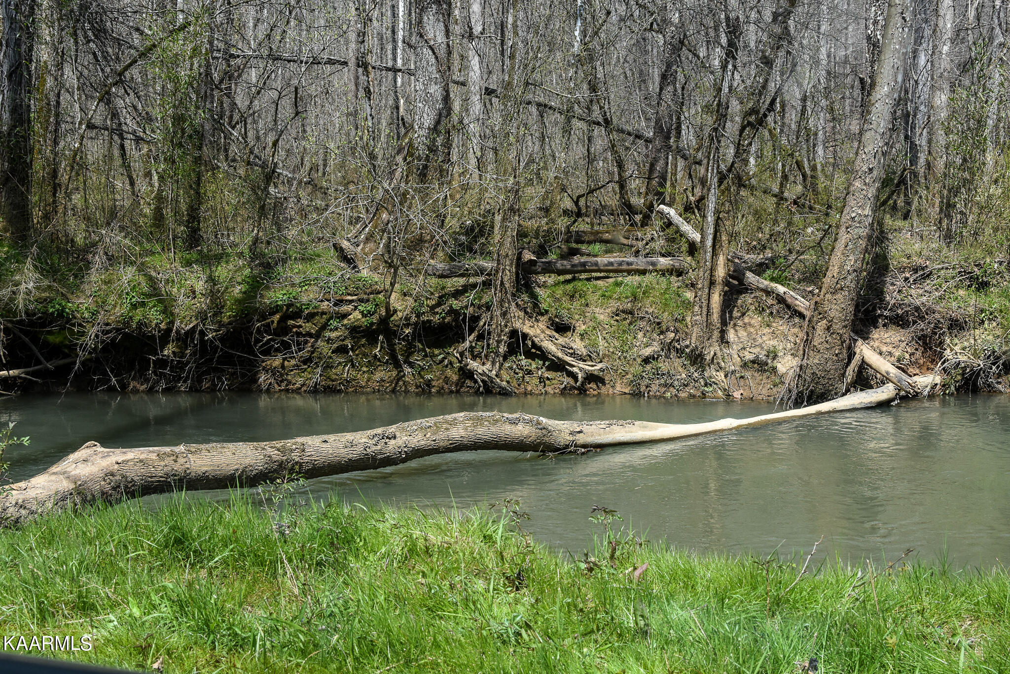 29 County Road Calhoun, TN 37309 - Photo 10 of 31 Mouse Creek_McMinn Co.-10