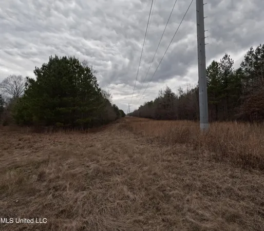 $585,000 | Christian Hts Road, Braxton, MS 39044