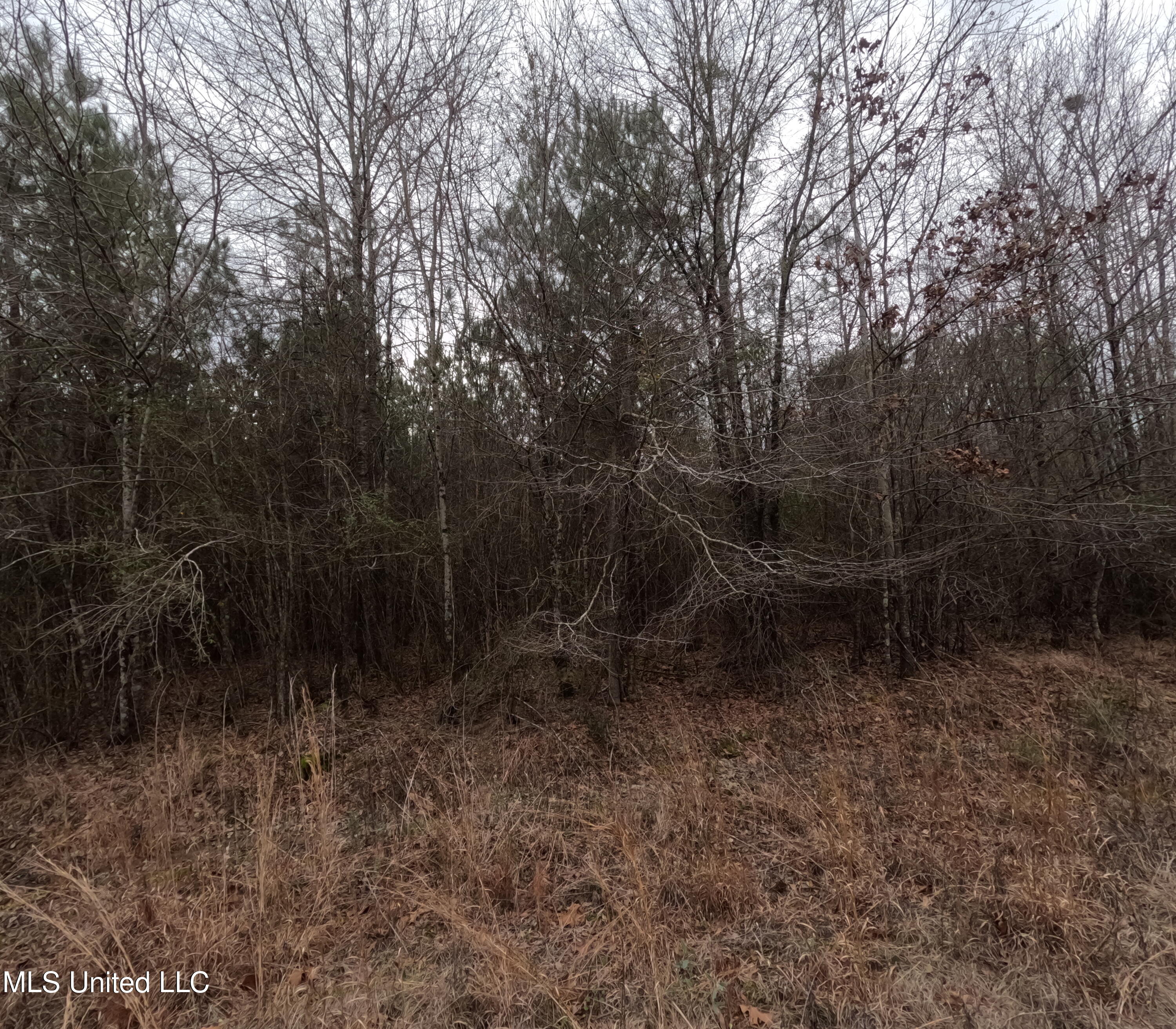 Christian Hts Road Braxton, MS 39044 - Photo 12 of 76 GOPR0778