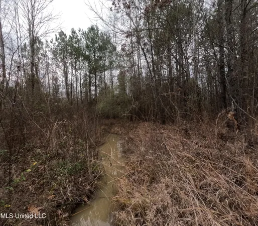 $585,000 | Christian Hts Road, Braxton, MS 39044