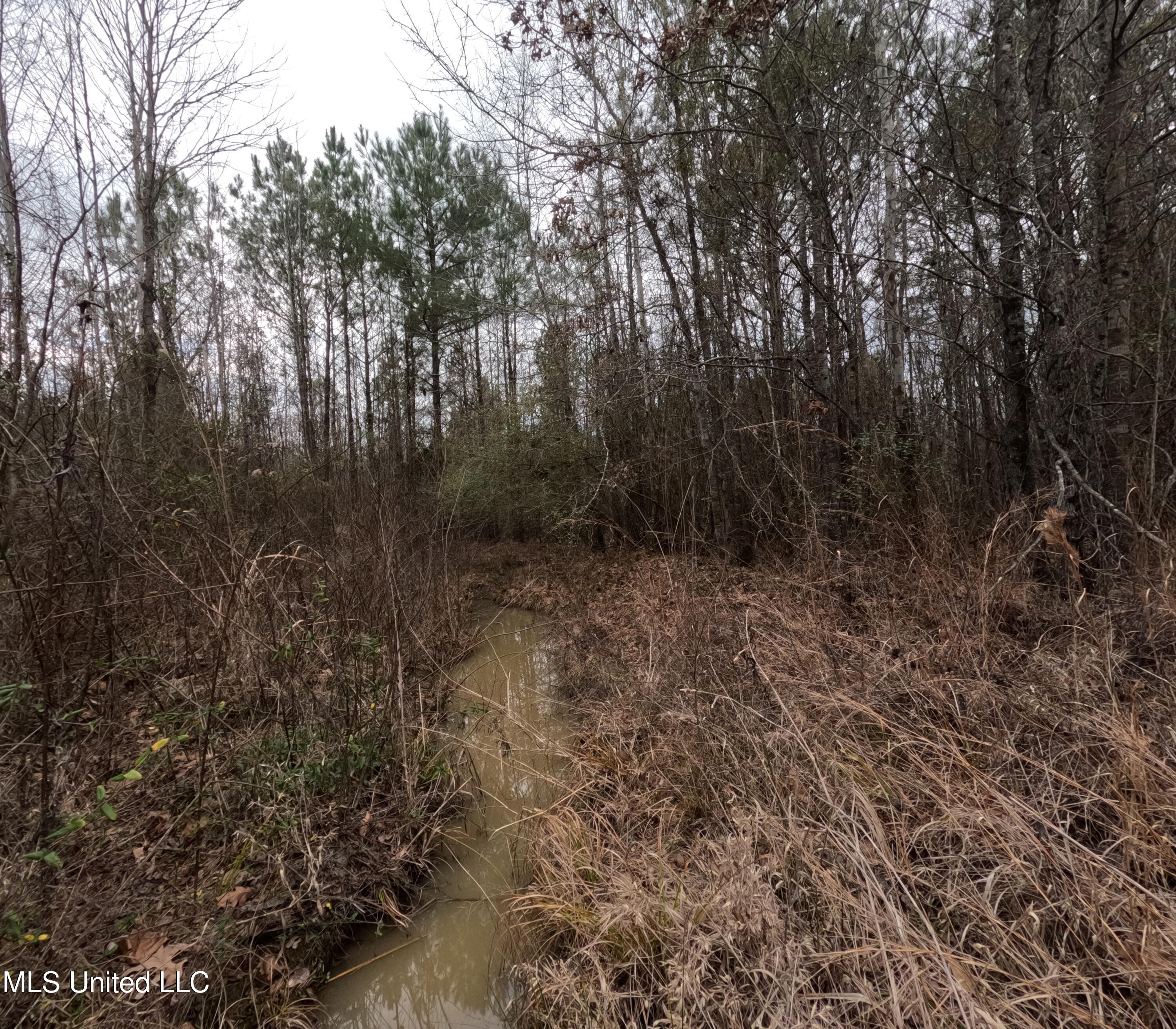 Christian Hts Road Braxton, MS 39044 - Photo 13 of 76 GOPR0779