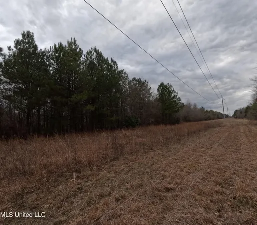$585,000 | Christian Hts Road, Braxton, MS 39044