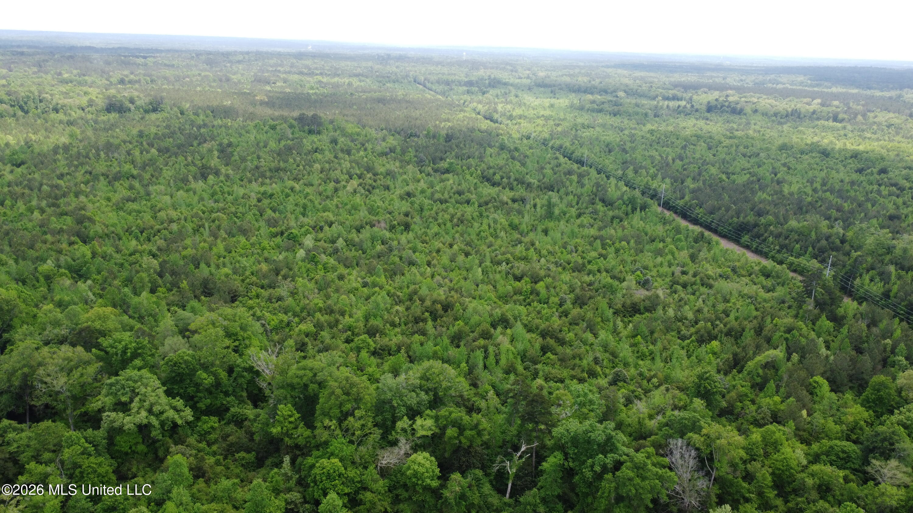 Christian Hts Road Braxton, MS 39044 - Photo 14 of 36 DJI_0831