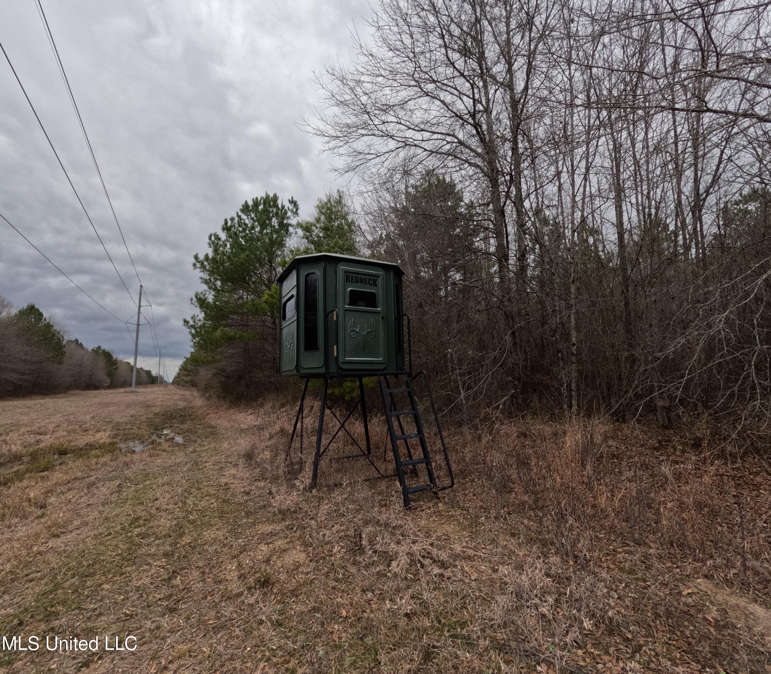 Christian Hts Road Braxton, MS 39044 - Photo 17 of 76 GOPR0783