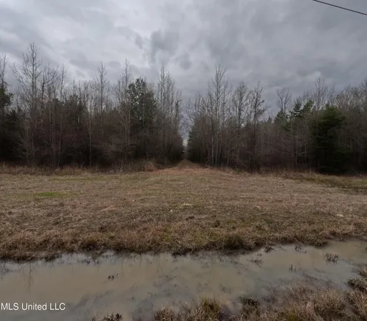 $585,000 | Christian Hts Road, Braxton, MS 39044