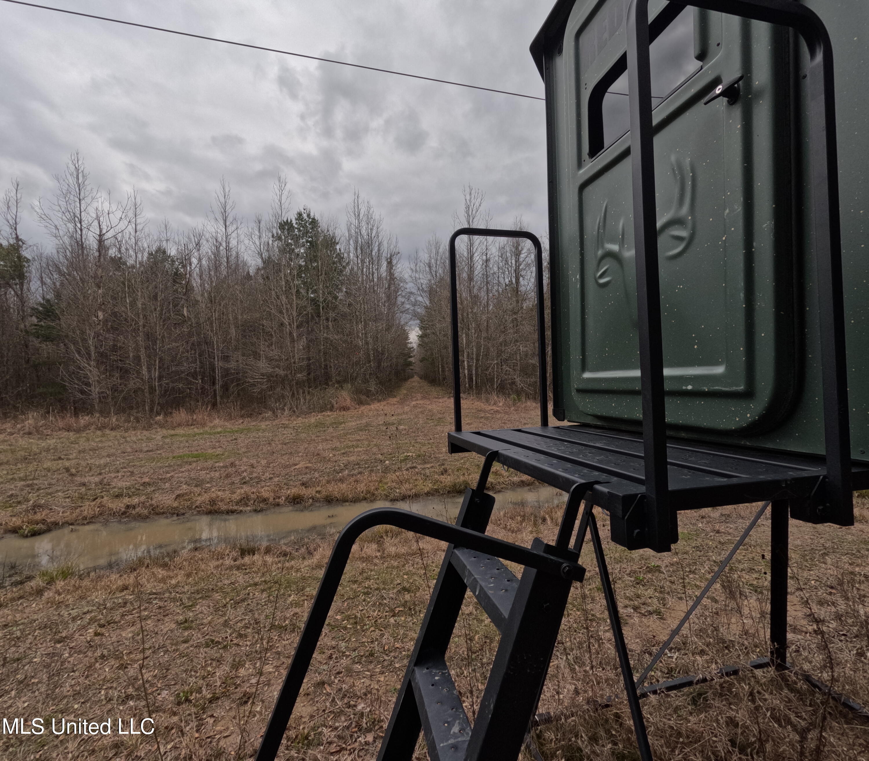 Christian Hts Road Braxton, MS 39044 - Photo 19 of 76 GOPR0785