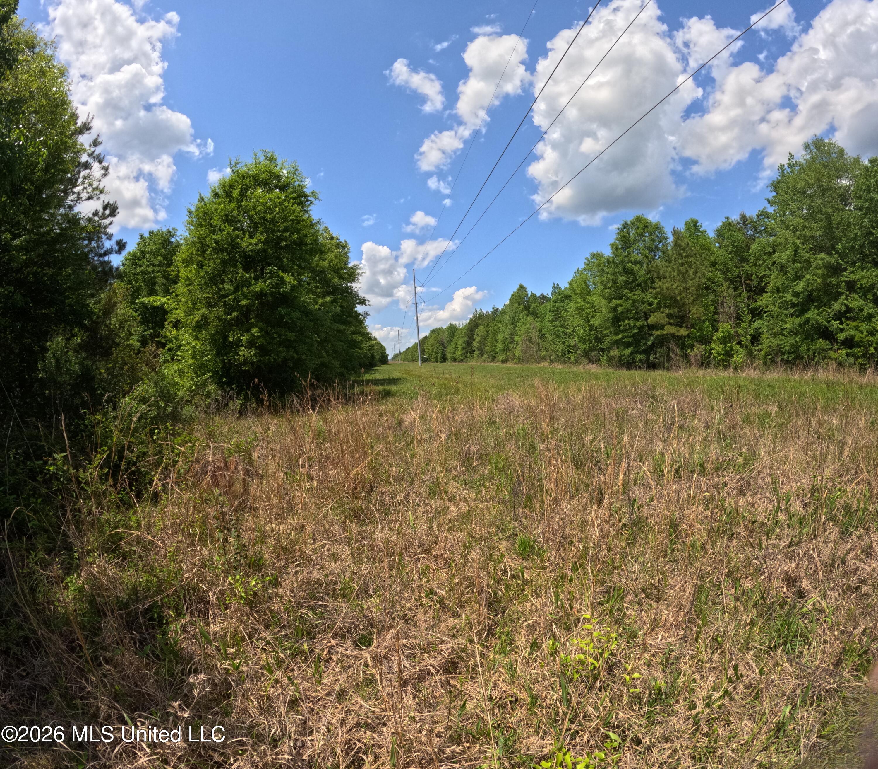 Christian Hts Road Braxton, MS 39044 - Photo 20 of 36 GOPR0971