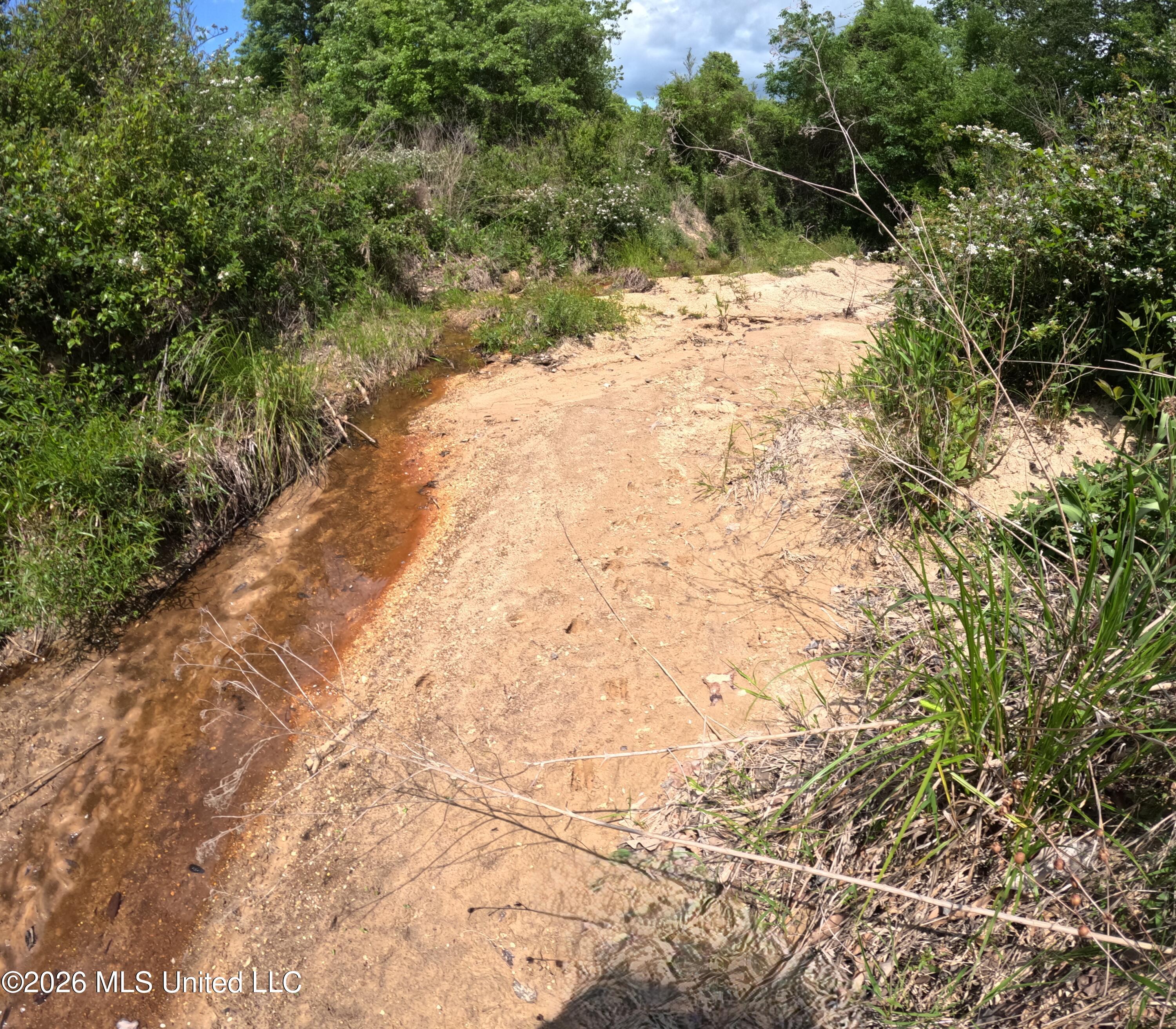Christian Hts Road Braxton, MS 39044 - Photo 2 of 36 GOPR0964