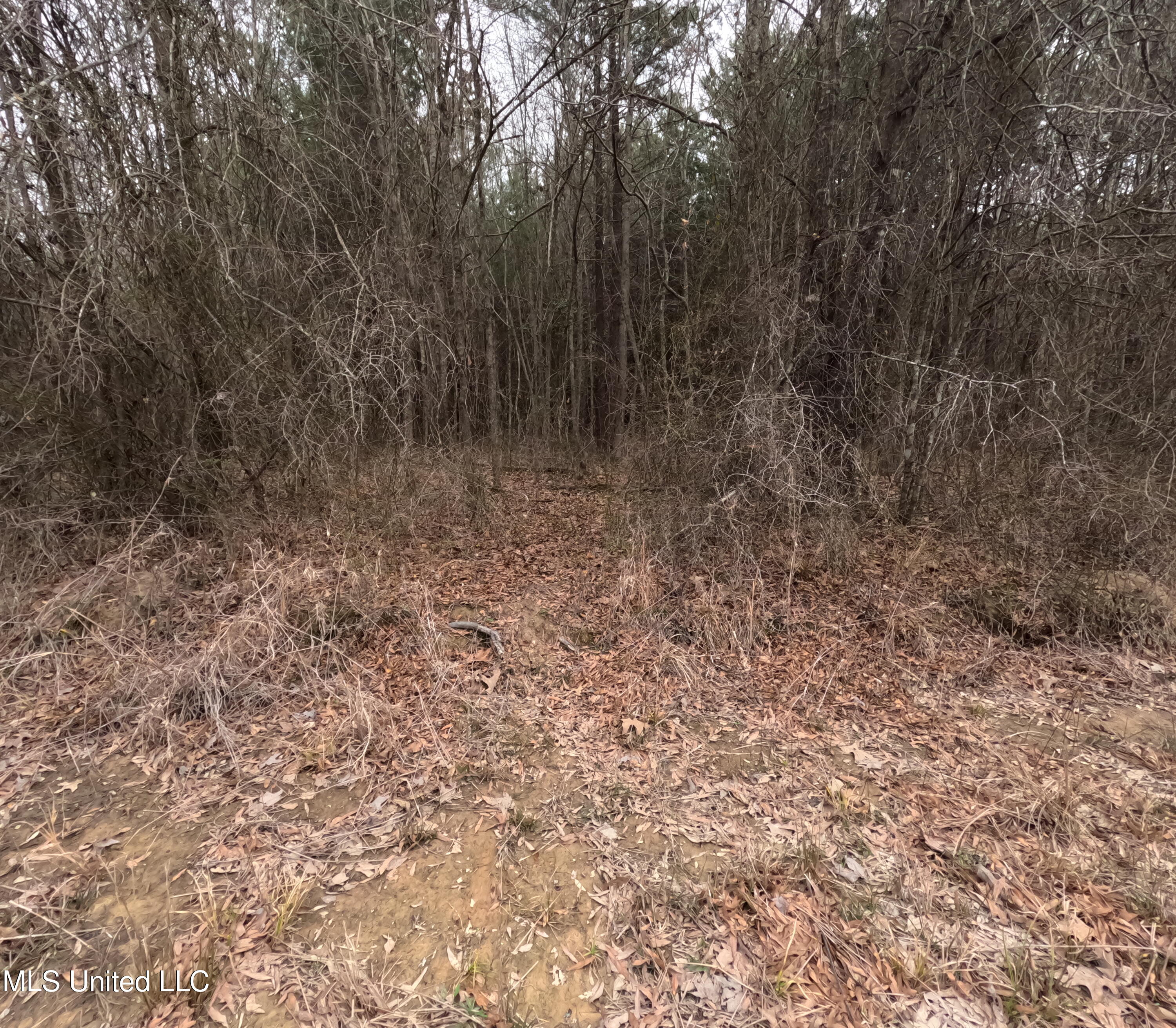 Christian Hts Road Braxton, MS 39044 - Photo 21 of 76 GOPR0787