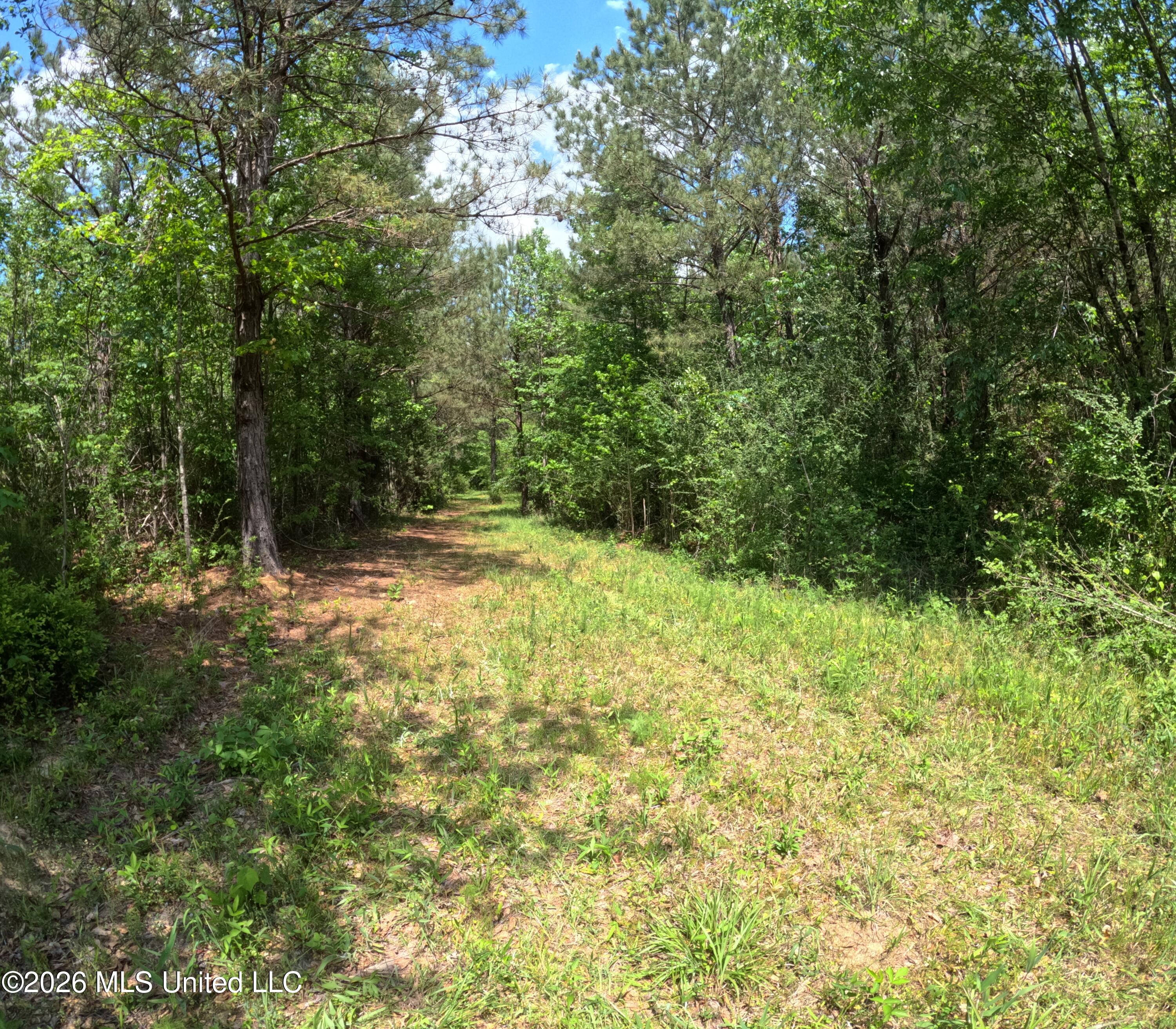 Christian Hts Road Braxton, MS 39044 - Photo 23 of 36 GOPR0979