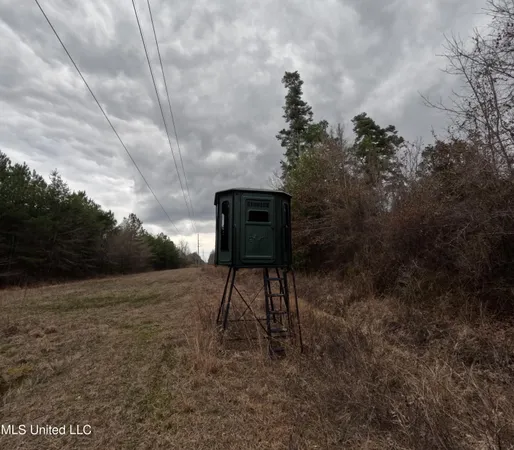 $585,000 | Christian Hts Road, Braxton, MS 39044