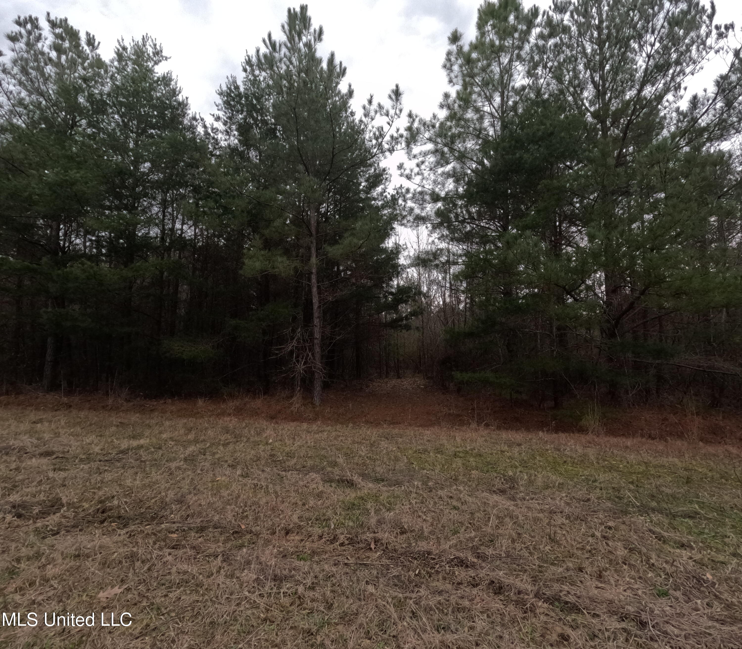 Christian Hts Road Braxton, MS 39044 - Photo 25 of 76 GOPR0791