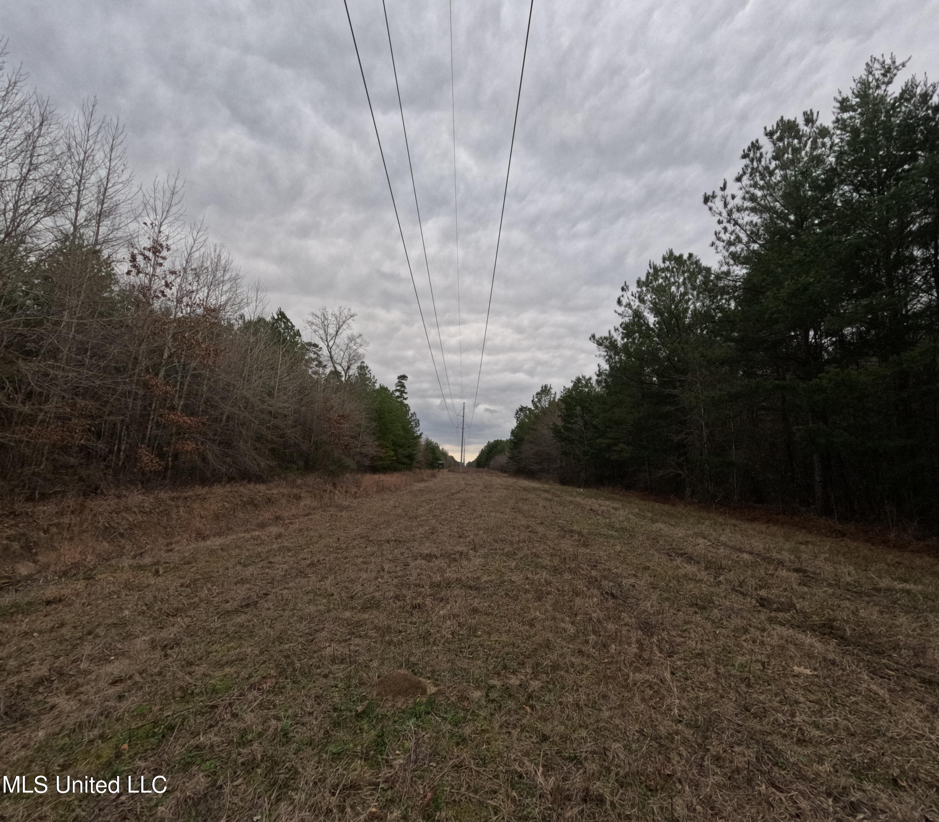 Christian Hts Road Braxton, MS 39044 - Photo 26 of 76 GOPR0792