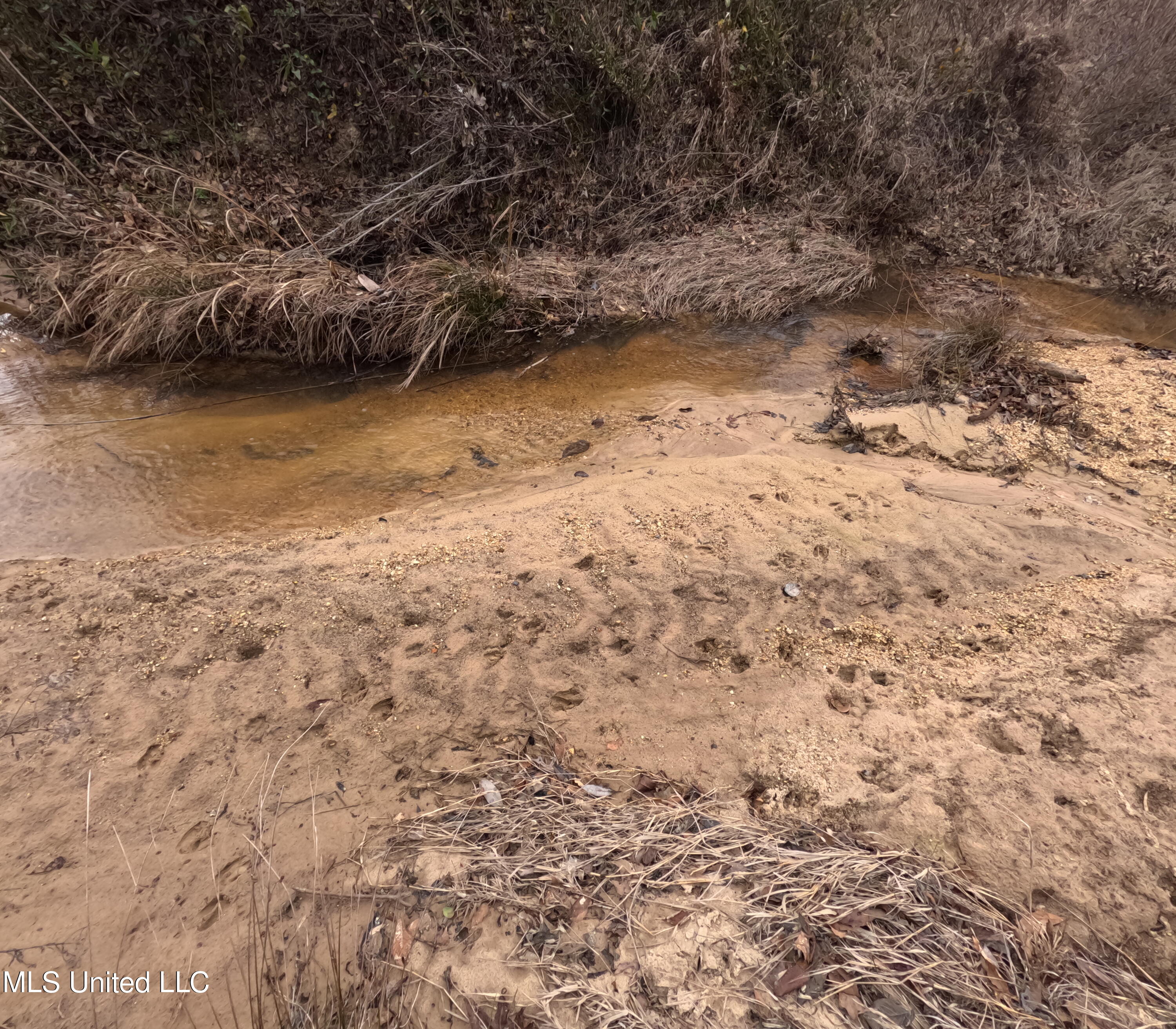 Christian Hts Road Braxton, MS 39044 - Photo 27 of 76 GOPR0793