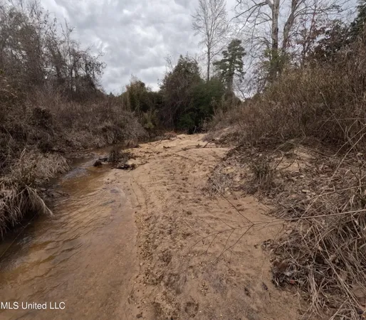 $585,000 | Christian Hts Road, Braxton, MS 39044