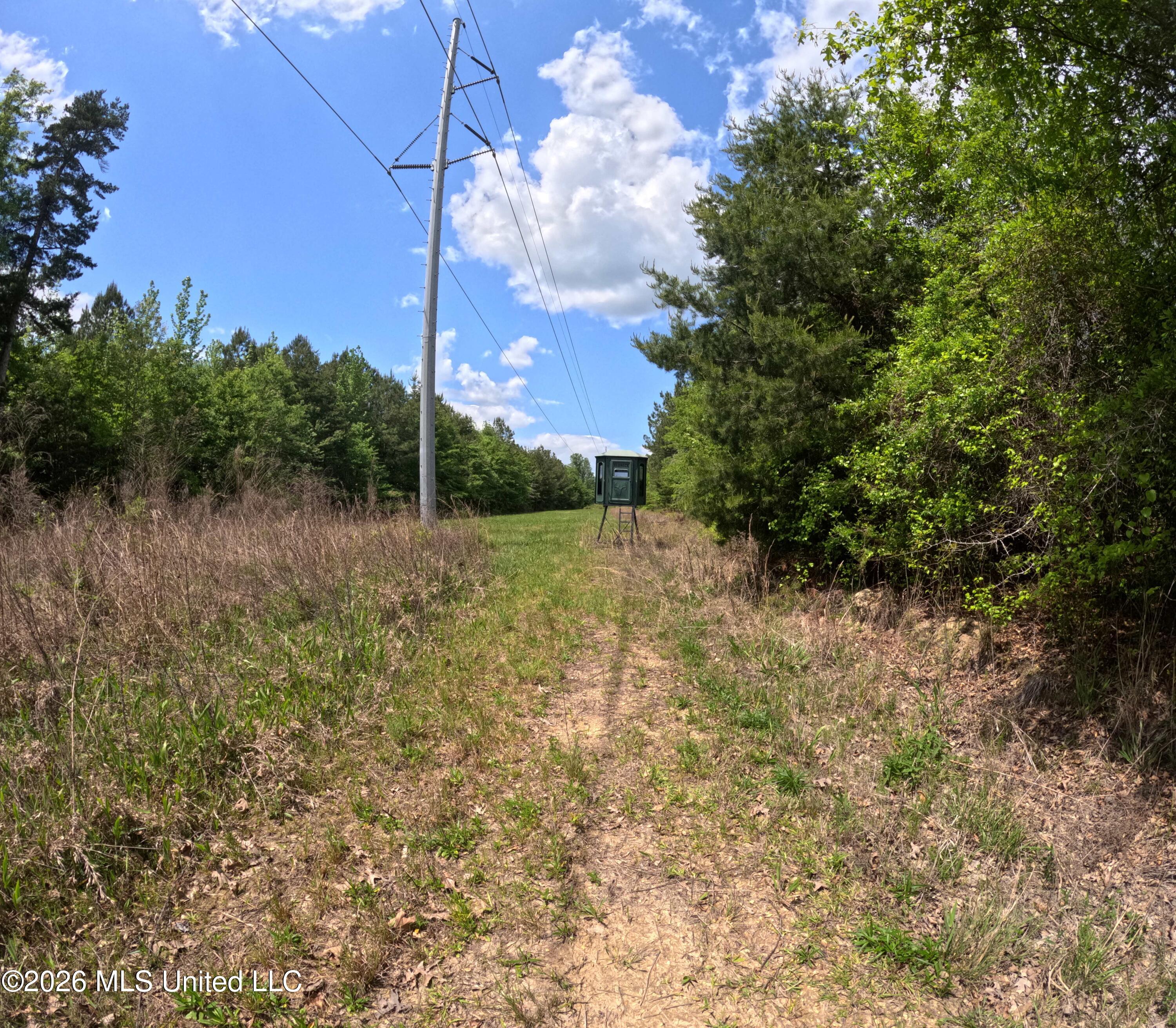 Christian Hts Road Braxton, MS 39044 - Photo 28 of 36 GOPR0962