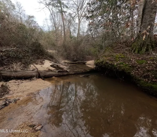 $585,000 | Christian Hts Road, Braxton, MS 39044