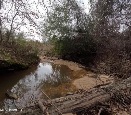 $585,000 | Christian Hts Road, Braxton, MS 39044