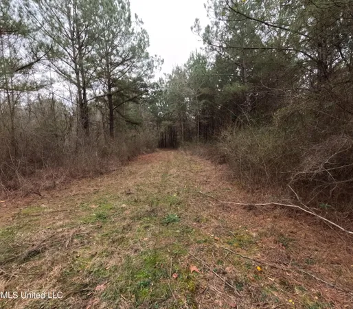 $585,000 | Christian Hts Road, Braxton, MS 39044