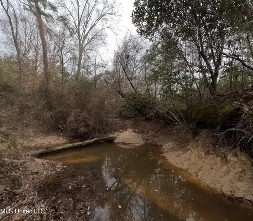 $585,000 | Christian Hts Road, Braxton, MS 39044