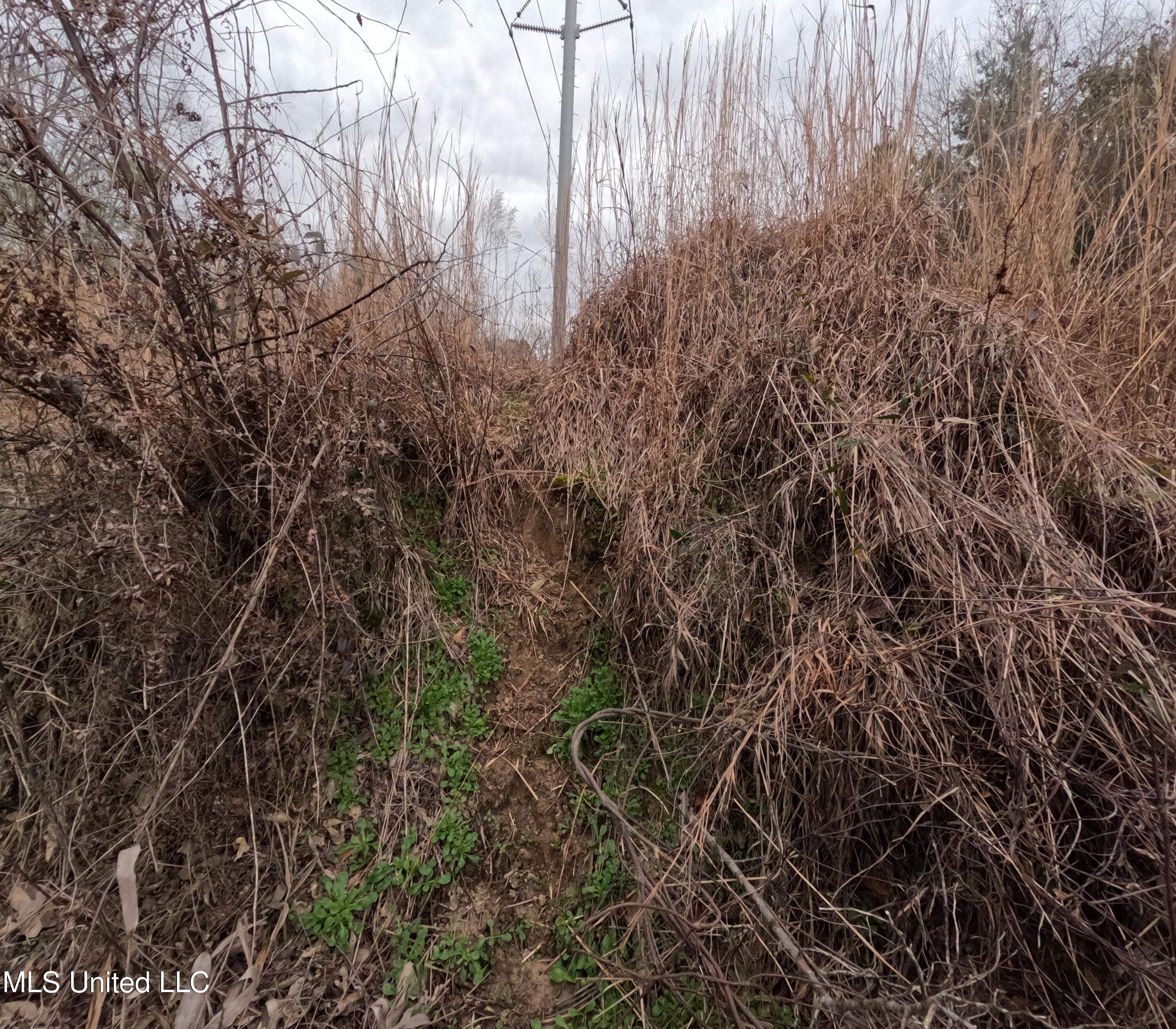 Christian Hts Road Braxton, MS 39044 - Photo 32 of 76 GOPR0799