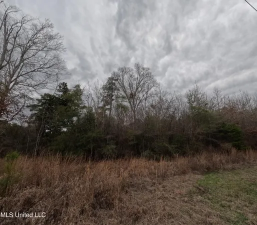 $585,000 | Christian Hts Road, Braxton, MS 39044