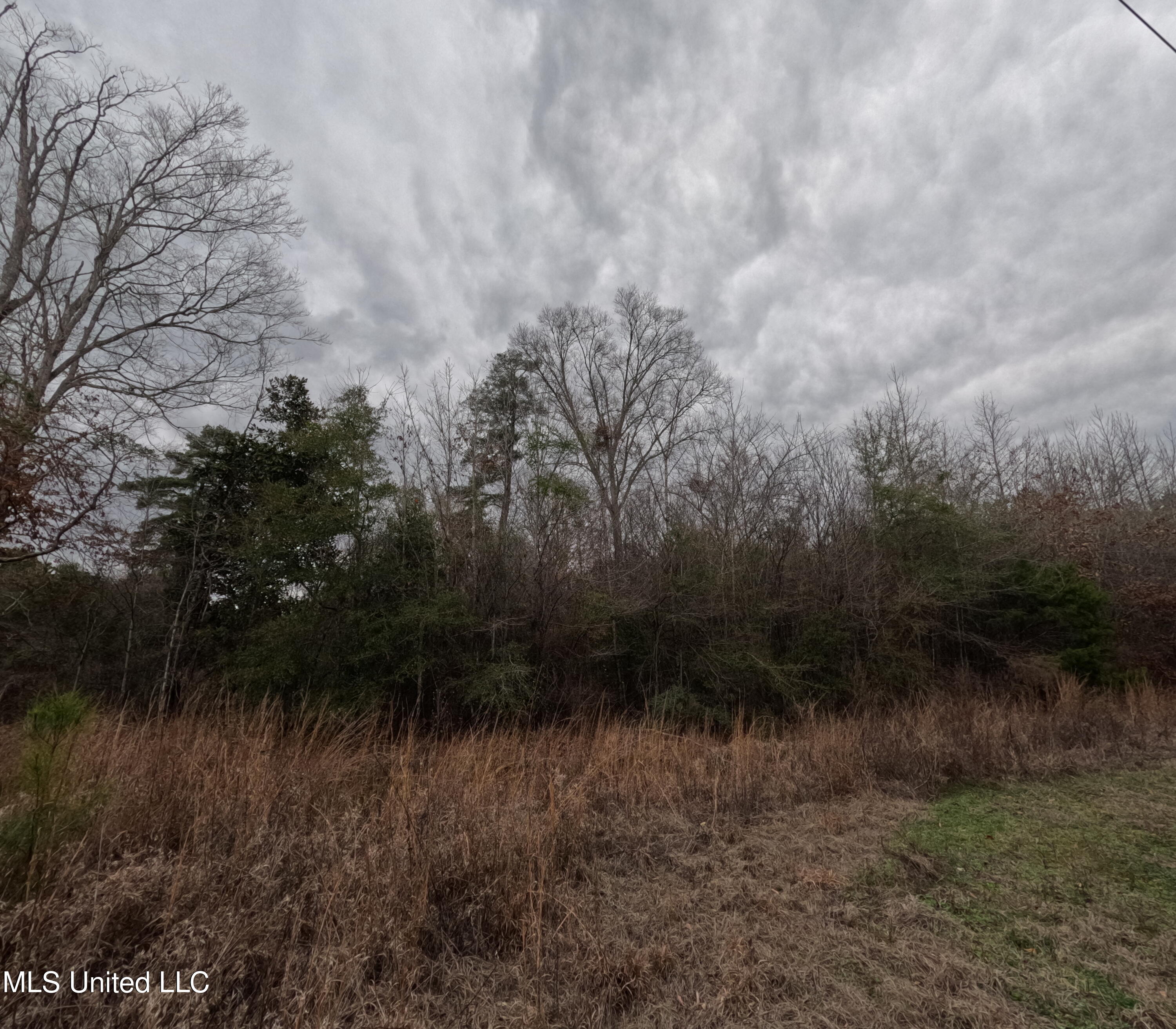 Christian Hts Road Braxton, MS 39044 - Photo 33 of 76 GOPR0800