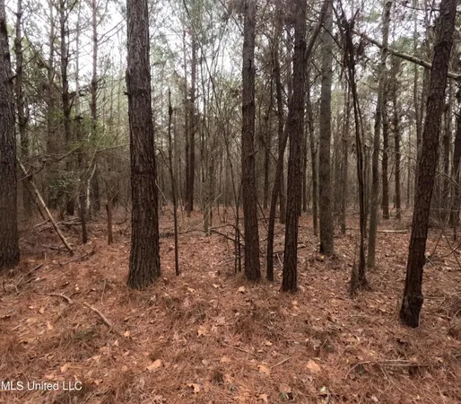 $585,000 | Christian Hts Road, Braxton, MS 39044