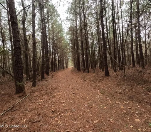 $585,000 | Christian Hts Road, Braxton, MS 39044