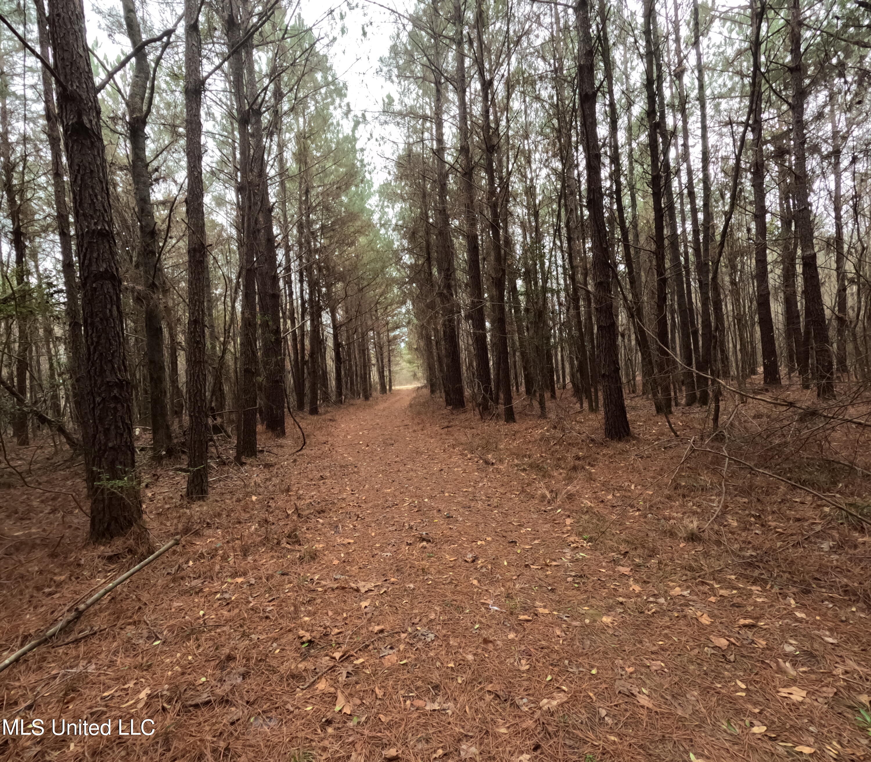 Christian Hts Road Braxton, MS 39044 - Photo 35 of 76 GOPR0802