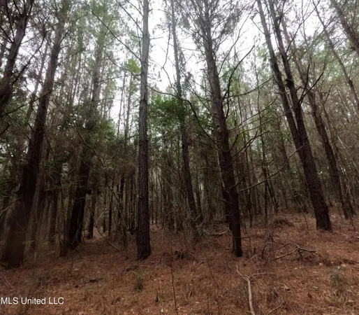 $585,000 | Christian Hts Road, Braxton, MS 39044