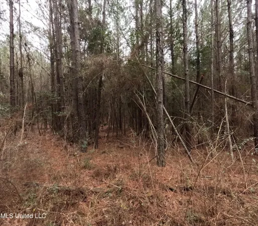 $585,000 | Christian Hts Road, Braxton, MS 39044