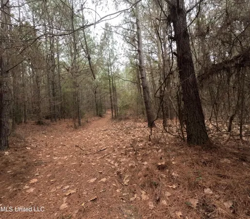 $585,000 | Christian Hts Road, Braxton, MS 39044